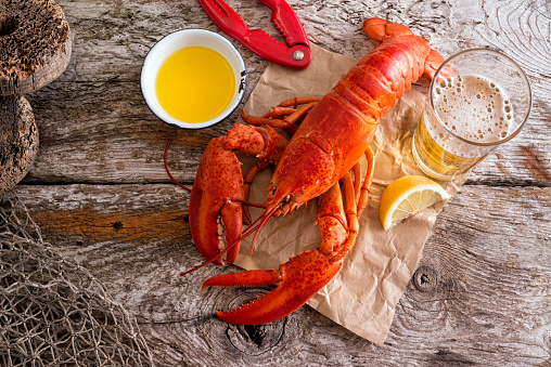 A delicious cooked atlantic lobster with melted butter, beer and lemon on a rustic wood background.