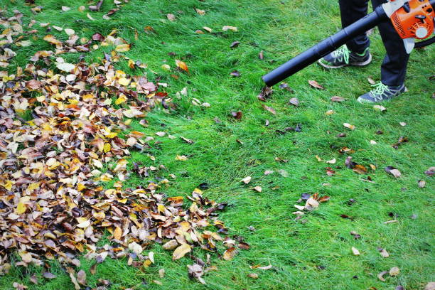 istock Gardener clearing up the leaves using a leaf blower tool 1028872544