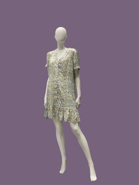 istock Full-length female mannequin. 1028872990