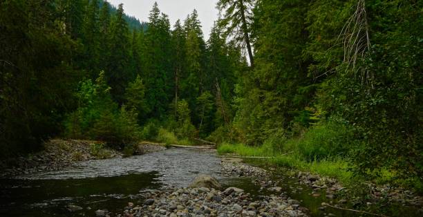 istock North Breitenbush River Canyon 1028882752