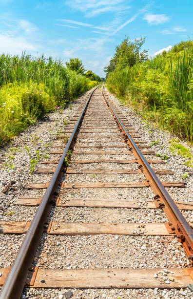 binario ferroviario in campagna con punto di fuga, scena rurale, layout verticale - railroad track train journey rural scene foto e immagini stock