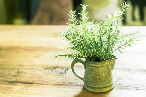 Beautiful a bracken in a vase is placed on a wooden table.