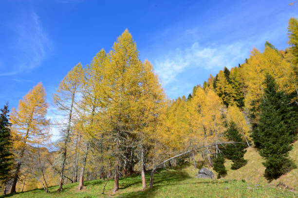 istock the beautiful autumn Dolomites 1028896162