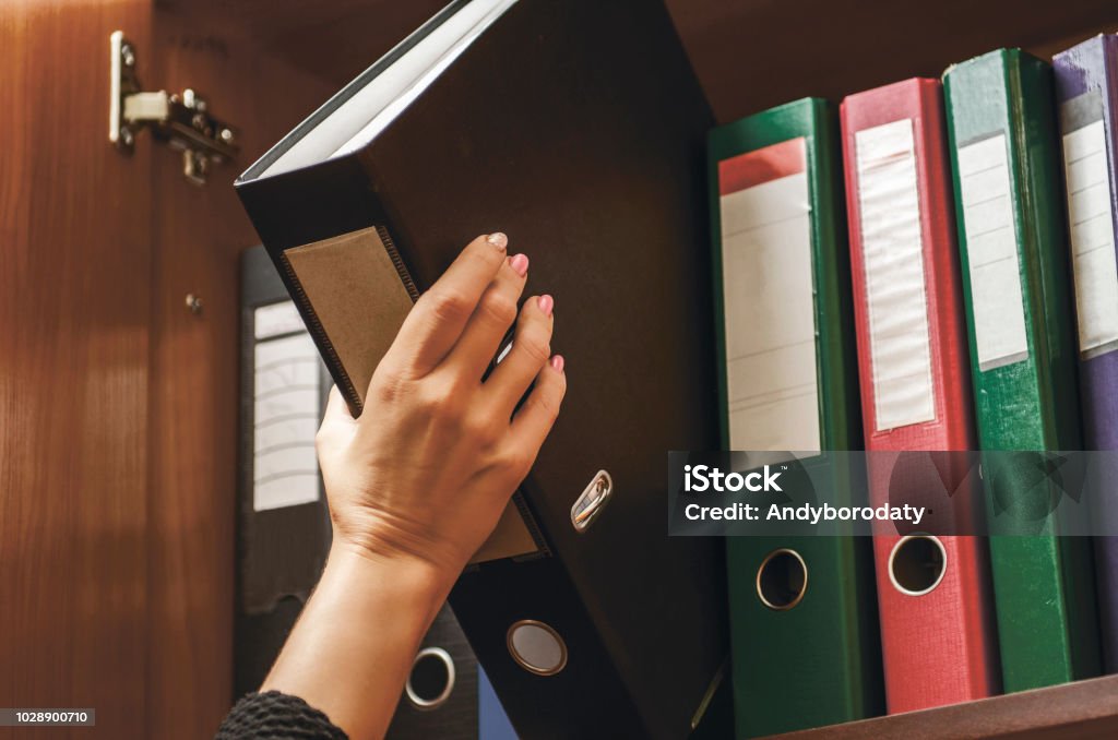 a woman officer pick a binder of document a woman officer pick a binder of document on the row of file folders and paper that nicely management system on the office's shelves and holing it with her hand Ring Binder Stock Photo