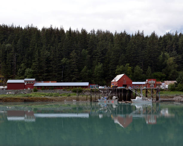 istock Reflections from Haines, Alaska 1028904168