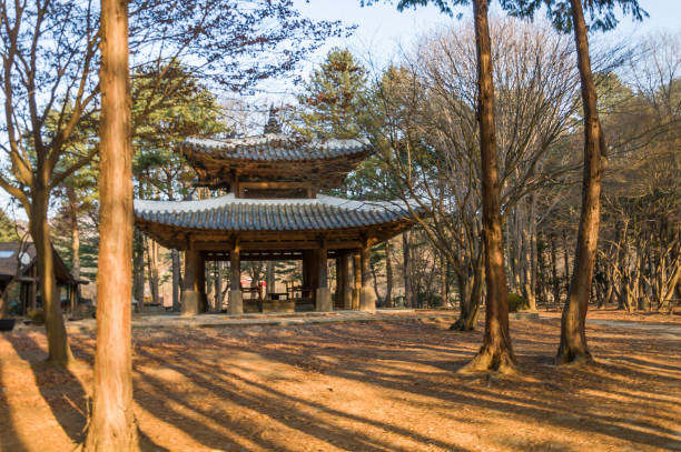 istock Nami Islandscape the national park 1028906836