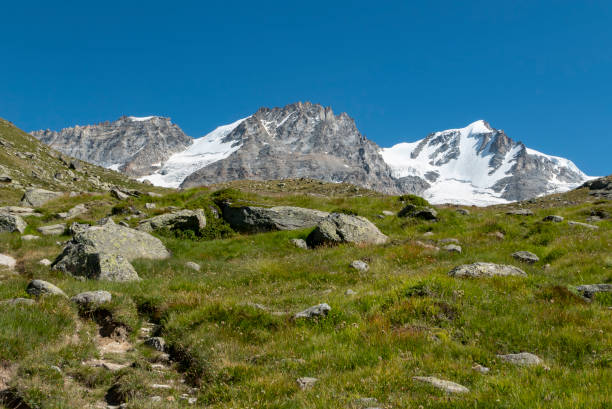 istock The glacier of Gran Paradiso 1028907514