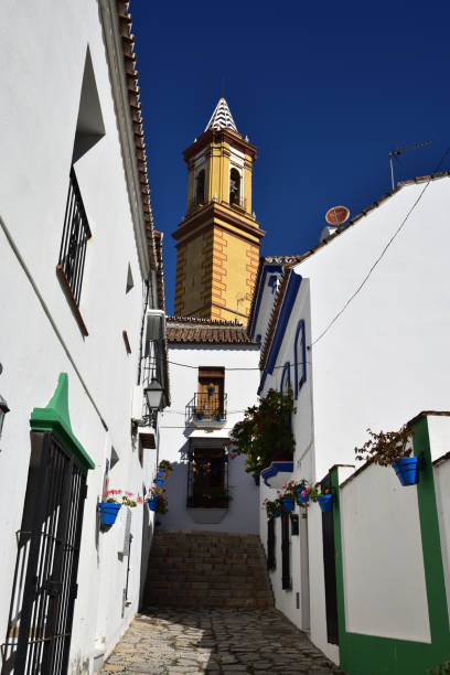 istock Decorative street in Estepona 1028913508