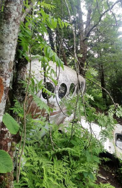 istock Plane Crash in the Mountains 1028914032