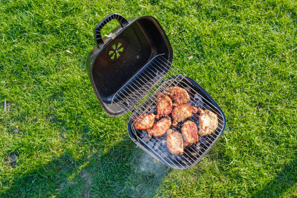 istock Barbecue grill with various kinds of meat. Placed on grass 1028916656