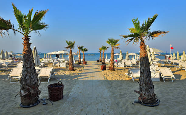 istock Adriatic Beach near Rimini in Pesaro (Italy) 1028934268
