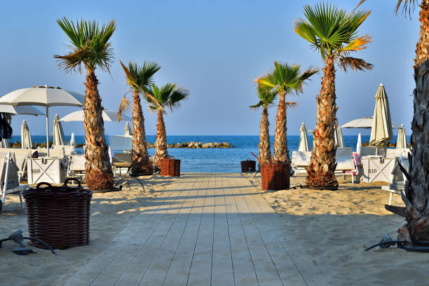 istock Adriatic Beach near Rimini in Pesaro (Italy) 1028934284