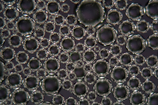 Bubbles of beer foam under a microscope and in polarized light.