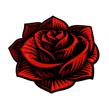 Vector illustration of rose flower.