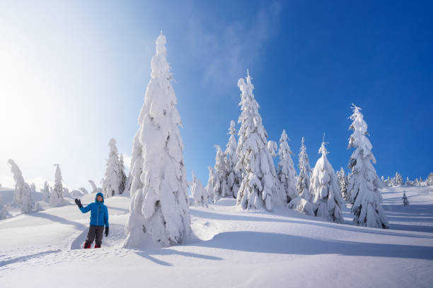 istock Mountain Hiking in the Winter 1028956462