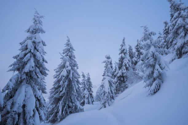 istock Winter landscape with footpath in the snow 1028956472