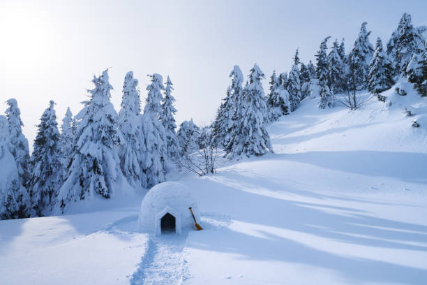 istock Winter landscape with a snow igloo 1028956476