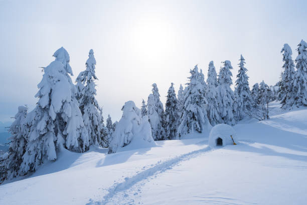 istock Snow igloo in the mountains in winter 1028956478