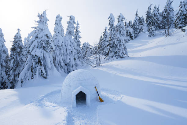 istock Snow igloo in the mountains in winter 1028956490