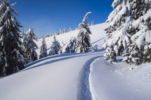 istock Winter landscape with footpath in the snow 1028956514