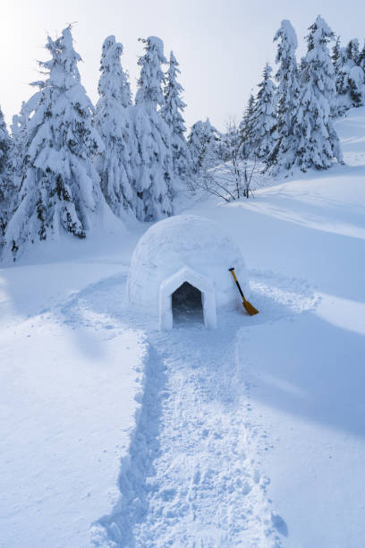 istock Winter landscape with a snow igloo 1028956550