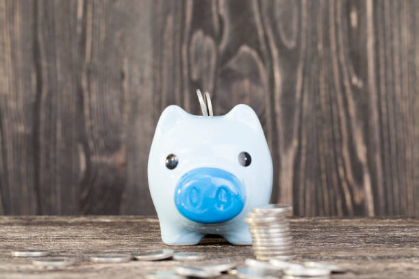 istock blue pig piggy bank 1028962126