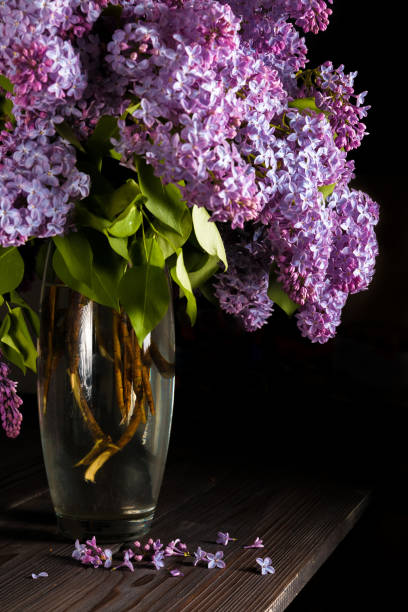 istock Still life with lilac bouquet 1028964042