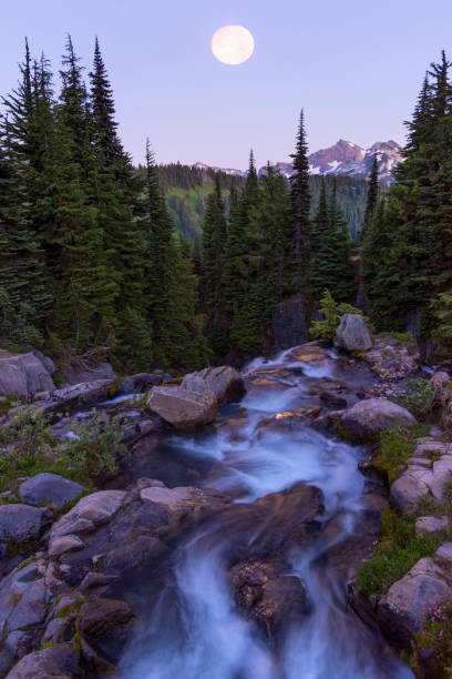 istock Full Moon in Mt Rainier National Park 1028991108