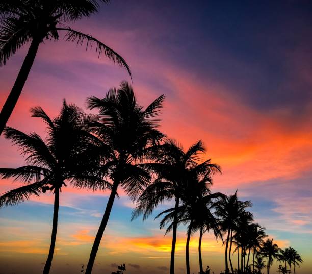 istock Colorful Tropical Sunrise 1029003400