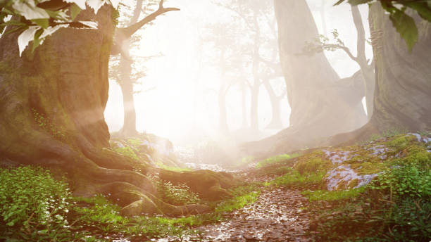 istock path through magical forest at sunrise, beautiful old trees fantasy landscape 1029008614