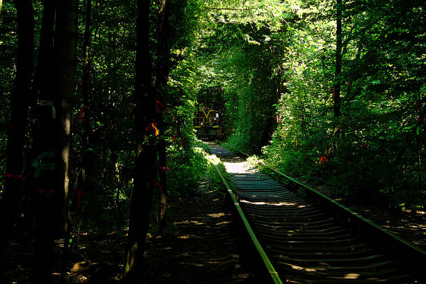 istock Train in Tunnel of Love 1029041716