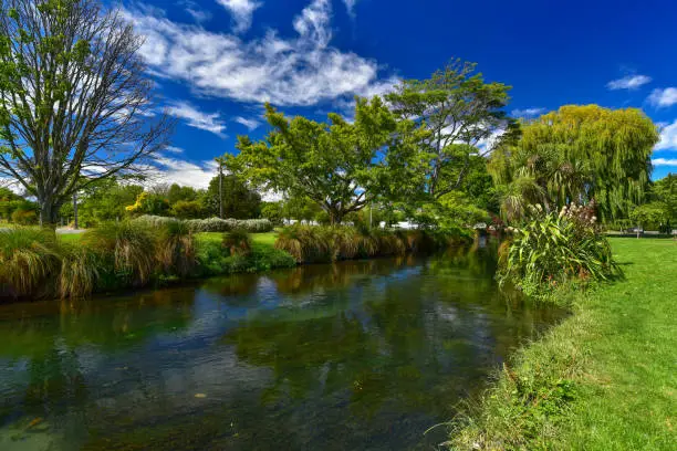 Photo of Willow trees by Avon River in Christchurch, New Zealand