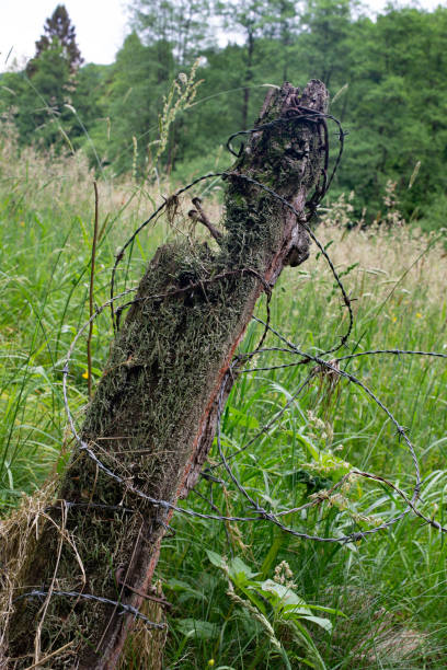 istock Rotten fence post with barbed wire on a meadow 1029042182