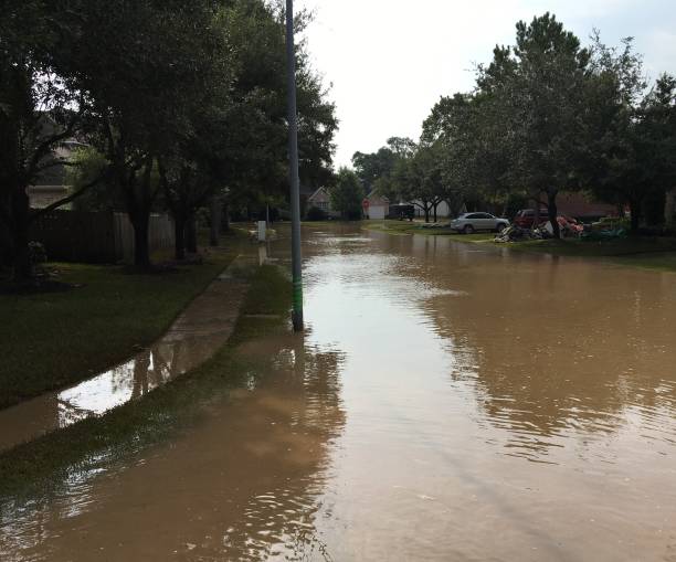 rua alagada e vizinhança após furacão harvey com detritos - federal emergency management agency - fotografias e filmes do acervo