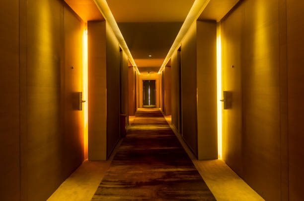 istock Hotel Corridor Ambient Lighting Contemporary Interior Design 1029056720
