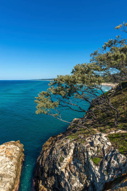 North Stradbroke Island, Queensland, Australia.