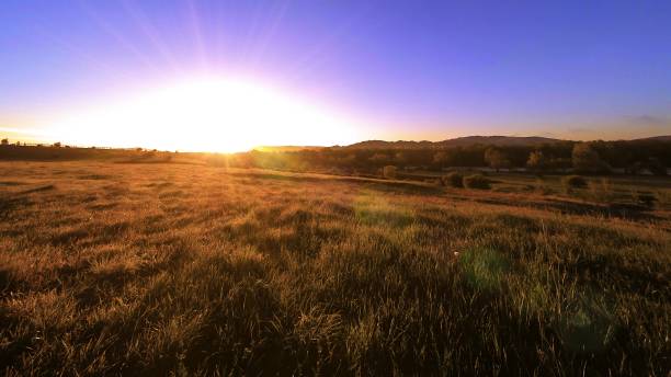 4K UHD mountain meadow timelapse at the summer. Clouds, trees, green grass and sun rays movement - fotografia de stock