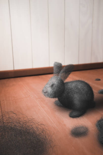 Dust bunny on a dirty floor