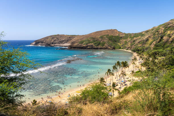 baia di hanauma - oahu, hawaii - hanauma bay hawaii islands oahu bay foto e immagini stock