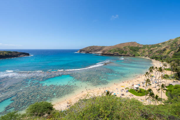 baia di hanauma - oahu, hawaii - hanauma bay hawaii islands oahu bay foto e immagini stock