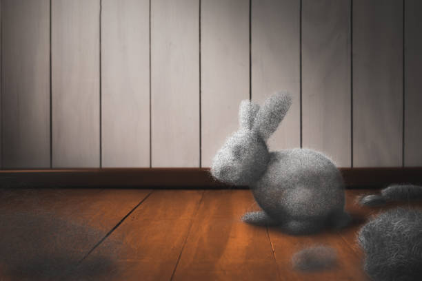 istock Dust bunny on a dirty floor 1029096638
