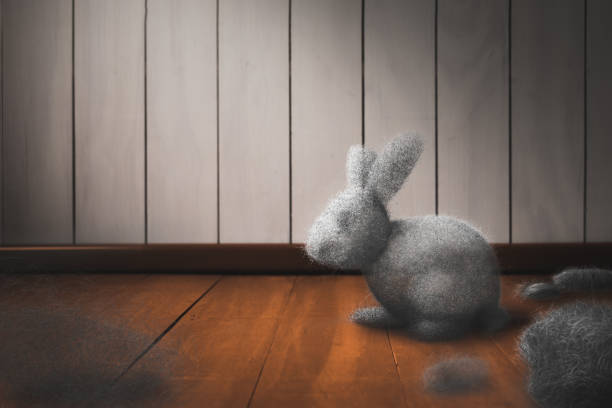 Dust bunny on a dirty floor Cleaning the house concept with dust bunny on a dirty floor / mixed media, 3D Elements in this image sick bunny stock pictures, royalty-free photos & images