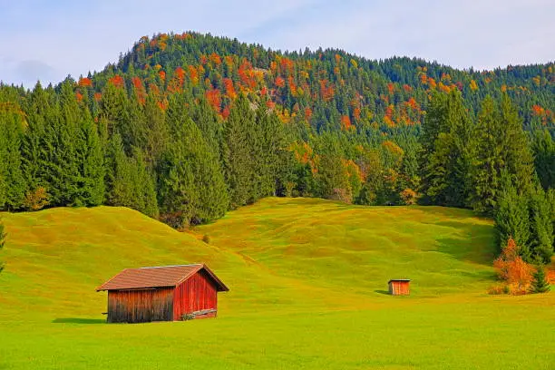 Autumn alpine meadows and pasture barns - Garmisch, Bavaria – Germany

Bavarian alps – pine woodland and wooden pasture barns (NOT A HOUSE), Just a barn for pasture and hay from agriculture) at golden autumn, Garmisch Partenkirchen, Bavaria – Germany