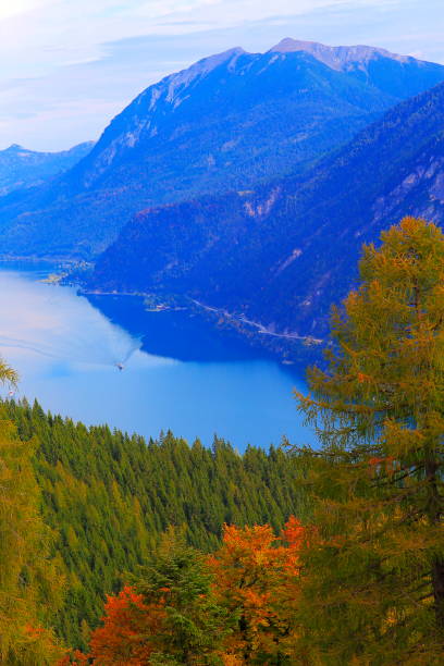 nave che attraversa il lago achensee dall'alto alpi del tirolo-karwendel - austria - rainforest austria nature tree foto e immagini stock