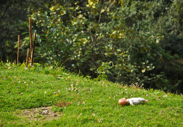Dog and House