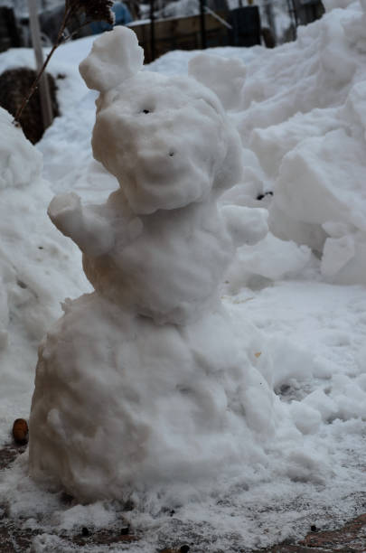istock Snowman on a backyard of house 1029117798