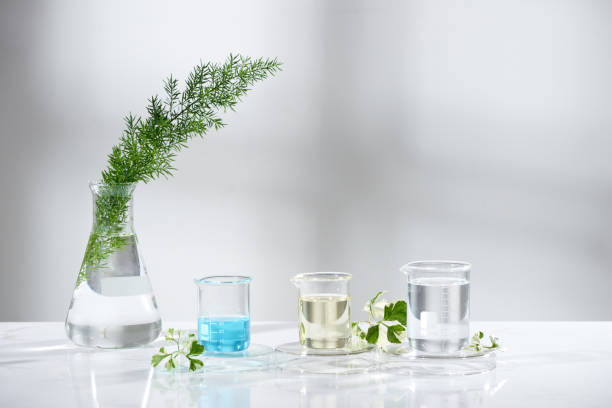 istock laboratory glass equipment with natural ingredients on white background 1029122278