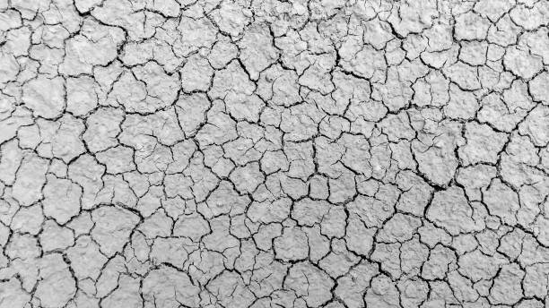 istock Close up dried cracked earth soil ground texture background 1029125012