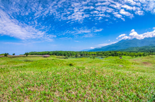 istock Wild field and blue sky spreadingWild field and blue sky spreading 1029128024