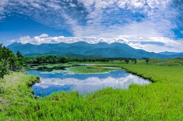 istock Wild field and blue sky spreadingWild field and blue sky spreading 1029128026